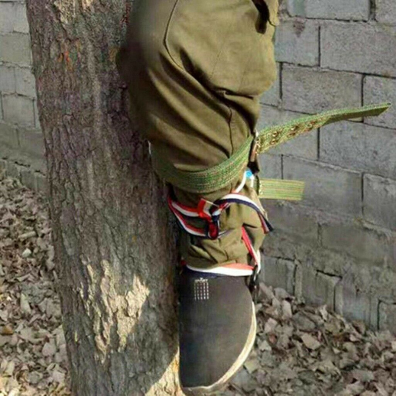 Premium Tree Climbing Spur Spikes - Westfield Retailers