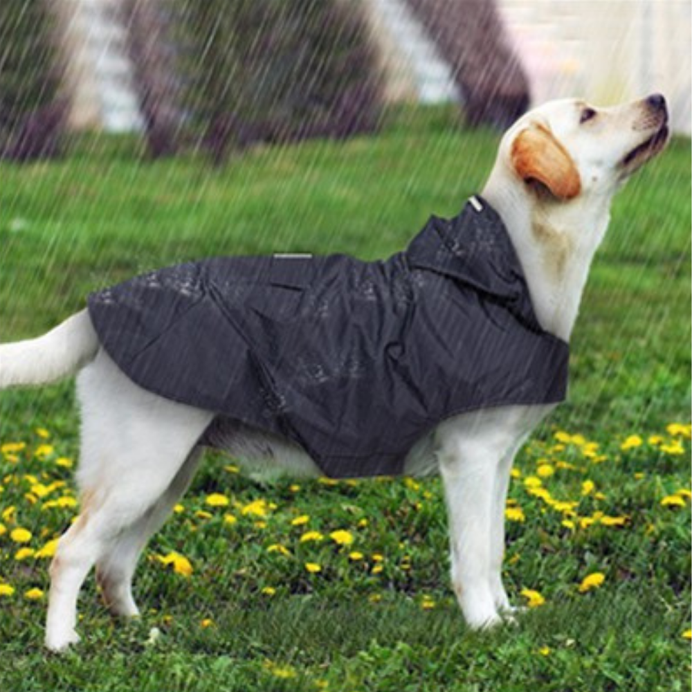 Heavy Duty Dog Raincoat Jacket With Hood - Westfield Retailers