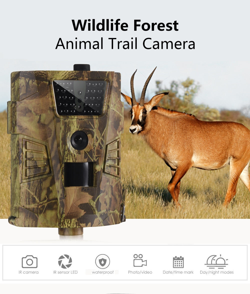 Waterproof Hunting Trail Camera - Westfield Retailers