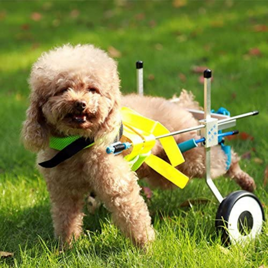 Dog Mobility Back Legs Wheelchair - Westfield Retailers