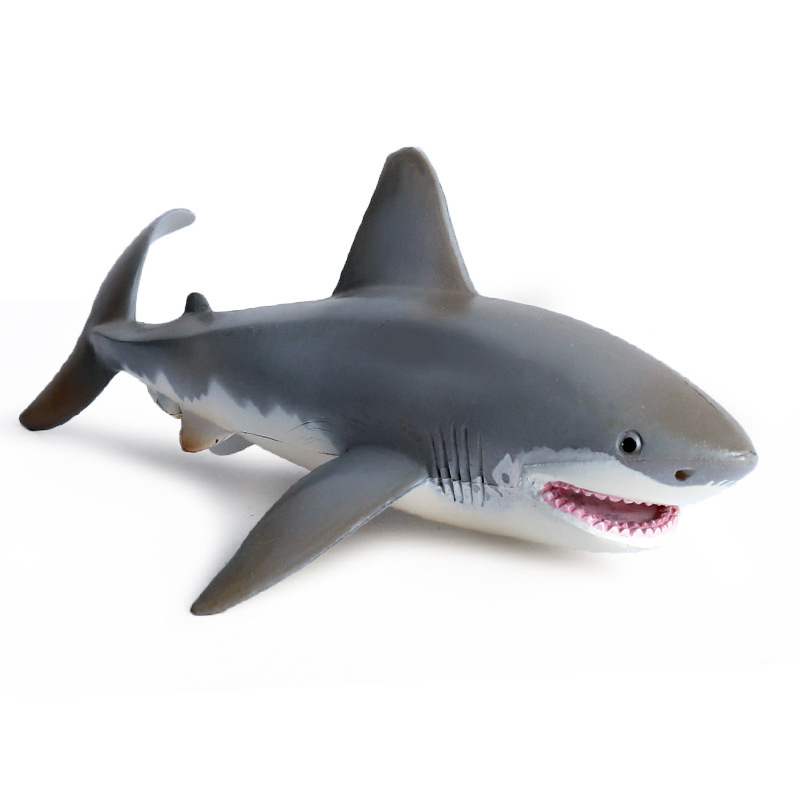 Realistic Baby Shark Bath Pool Toy - Westfield Retailers