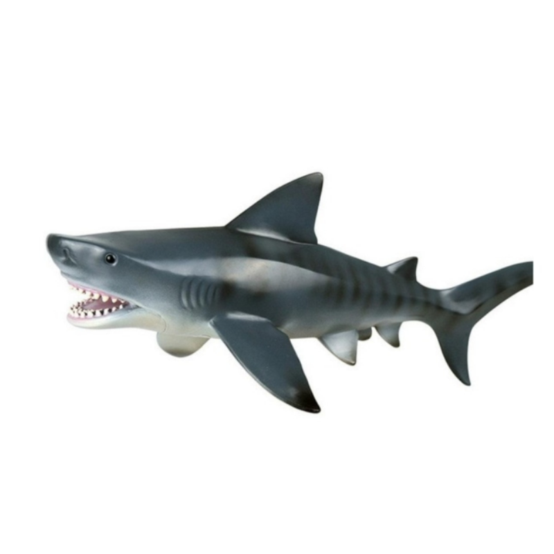 Realistic Baby Shark Bath Pool Toy - Westfield Retailers