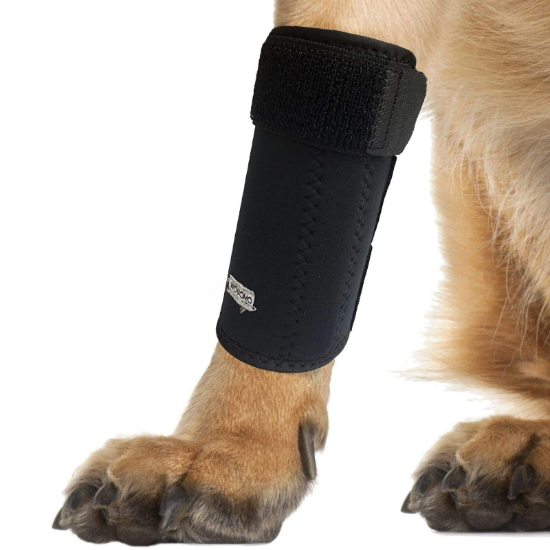 Stabilizing Dog Front Legs Knee Brace Set - Westfield Retailers