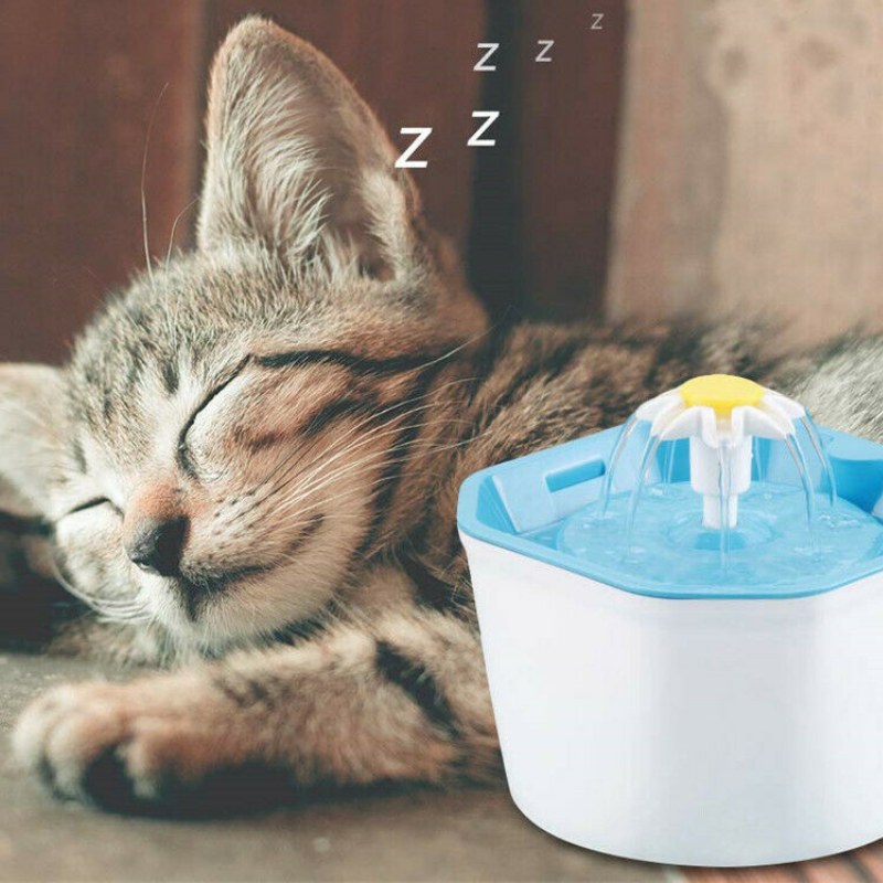 Premium Electric Cat Drinking Water Dispenser Fountain - Westfield Retailers