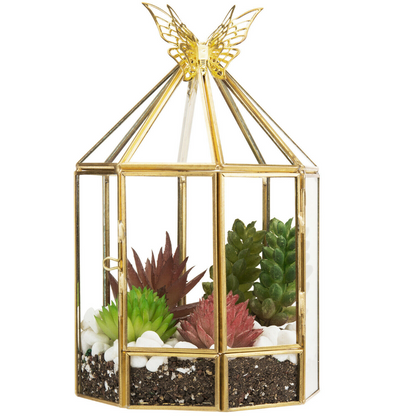 Hexagonal Closed Indoor Glass Plant Standing Terrarium - Westfield Retailers