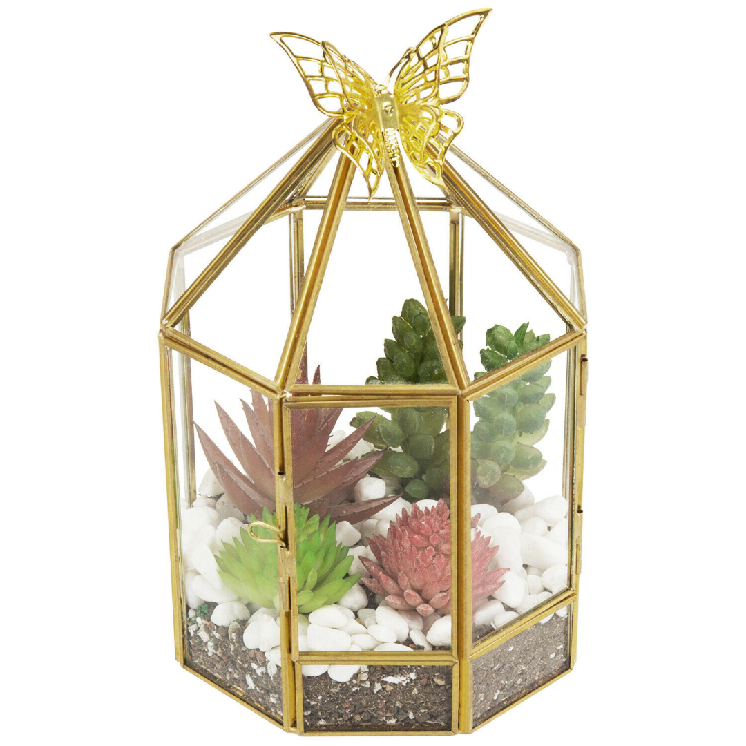 Hexagonal Closed Indoor Glass Plant Standing Terrarium - Westfield Retailers