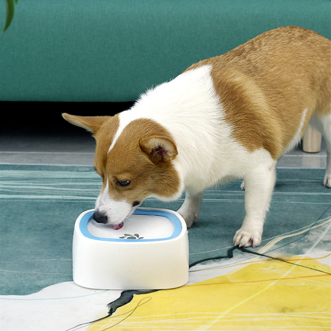 Large Portable Spill Proof Dog Water Fountain Bowl - Westfield Retailers