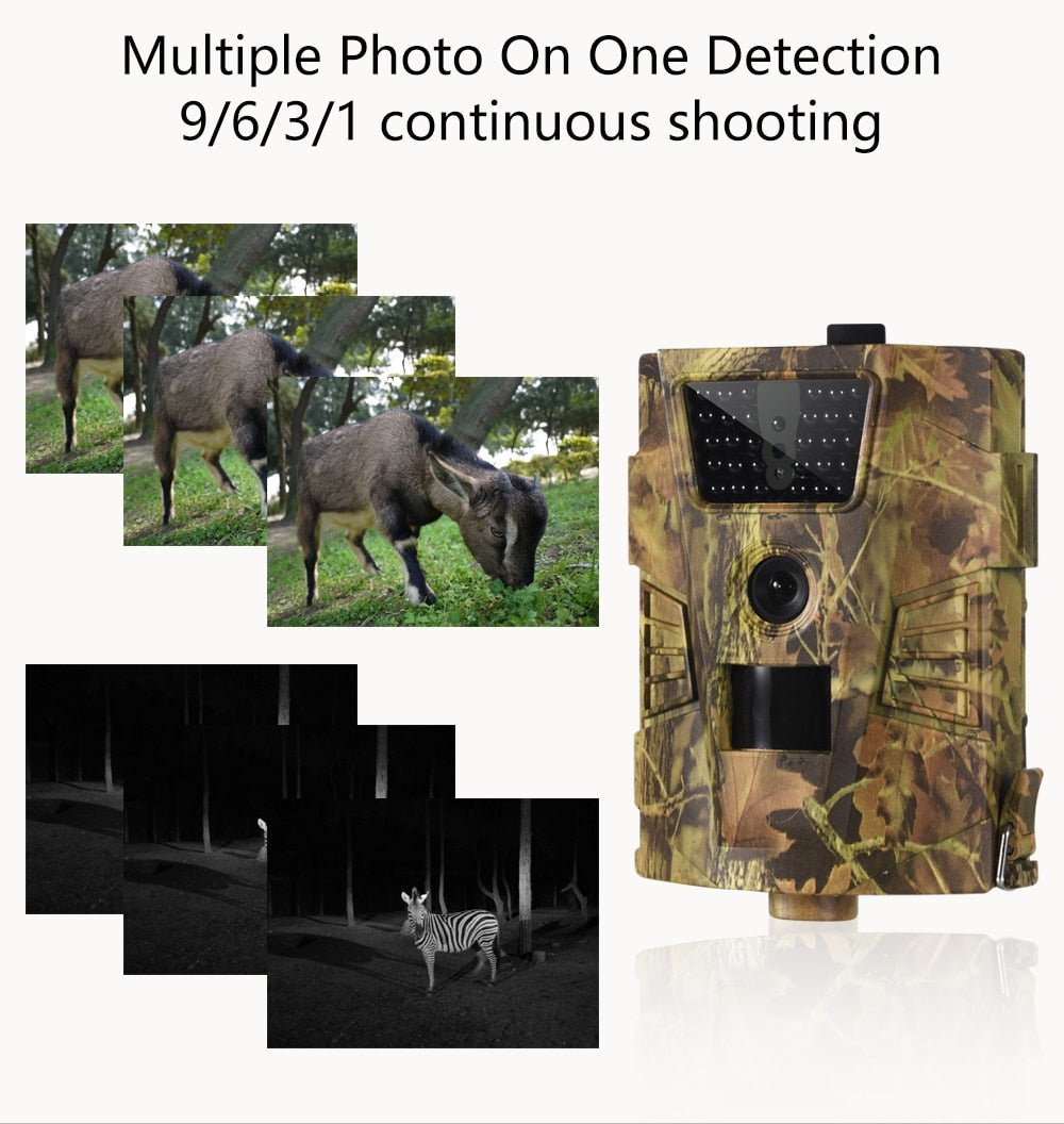 Waterproof Hunting Trail Camera - Westfield Retailers