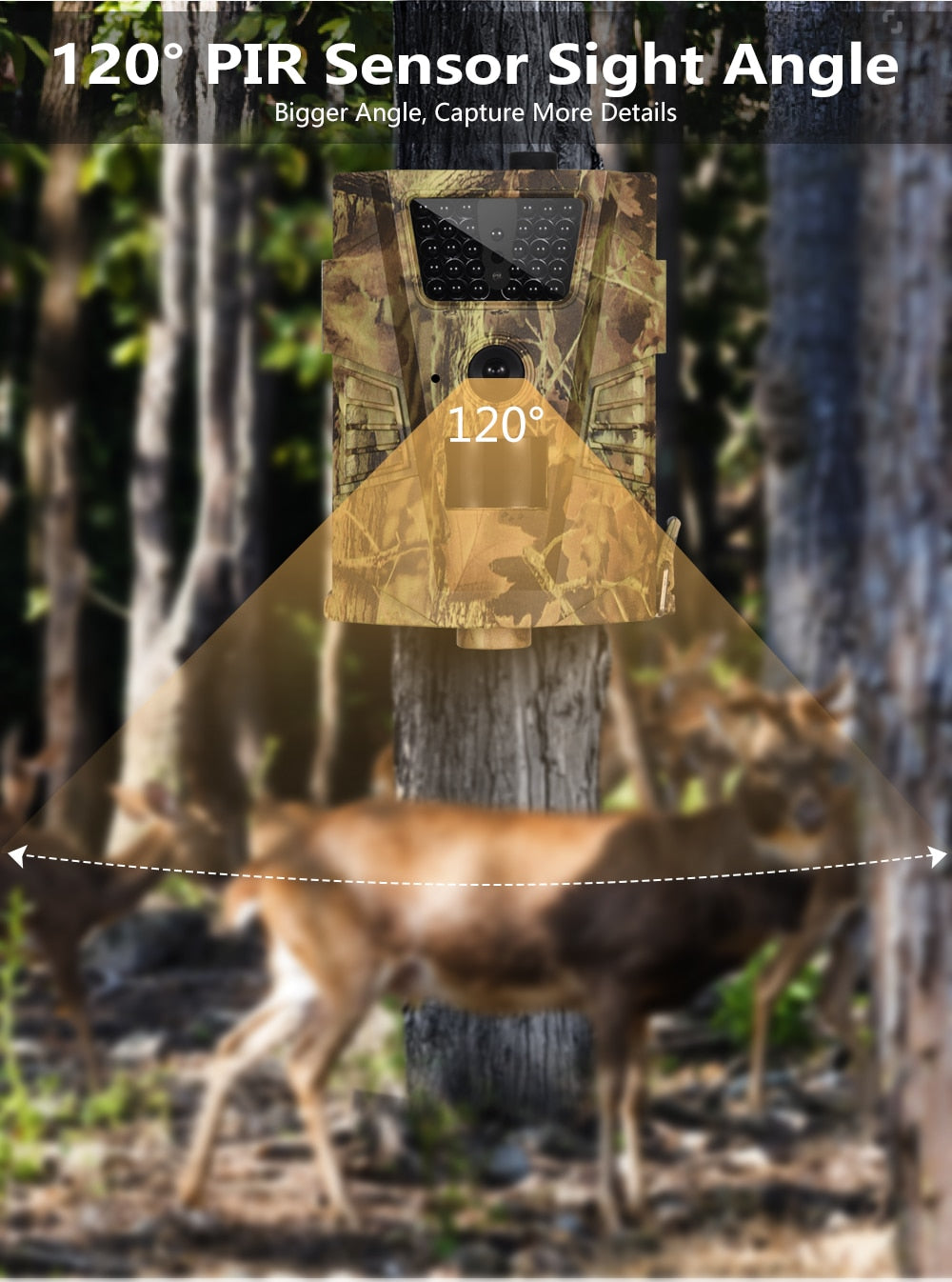 Waterproof Hunting Trail Camera - Westfield Retailers