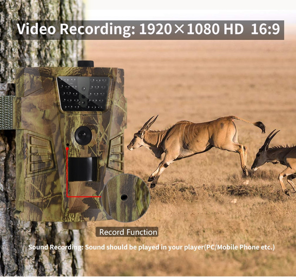 Waterproof Hunting Trail Camera - Westfield Retailers