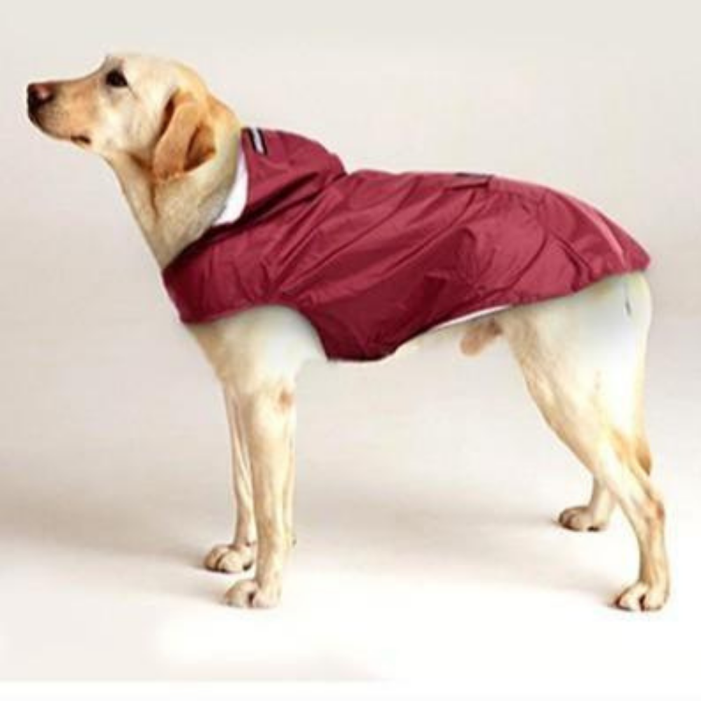 Heavy Duty Dog Raincoat Jacket With Hood - Westfield Retailers