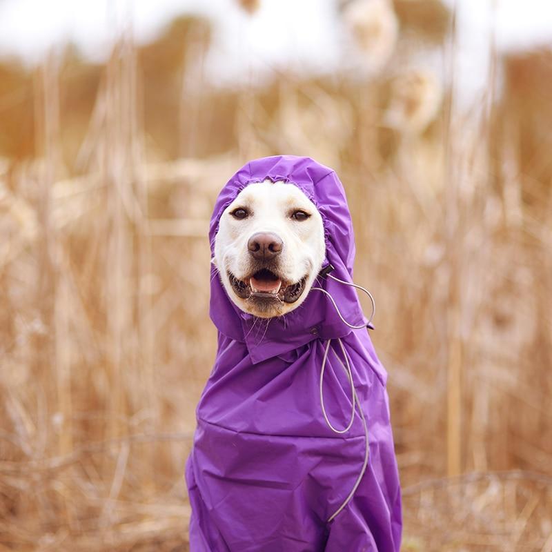 Premium Dog Raincoat Jacket - Westfield Retailers