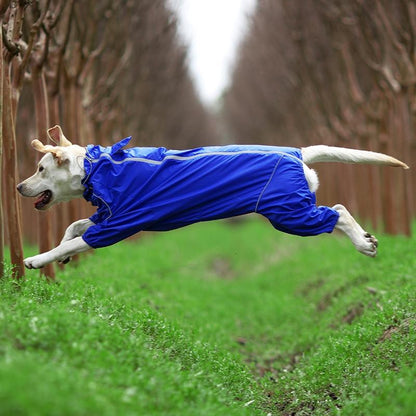 Premium Dog Raincoat Jacket - Westfield Retailers