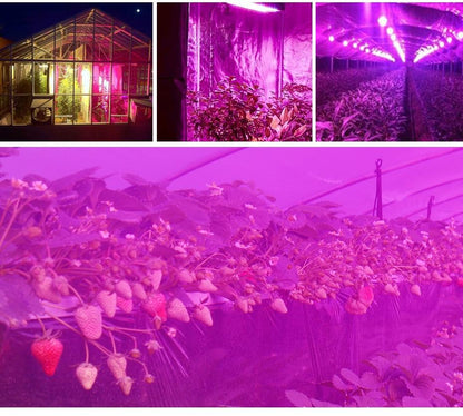 Plant LED Grow Lights Full Spectrum Indoor - Westfield Retailers