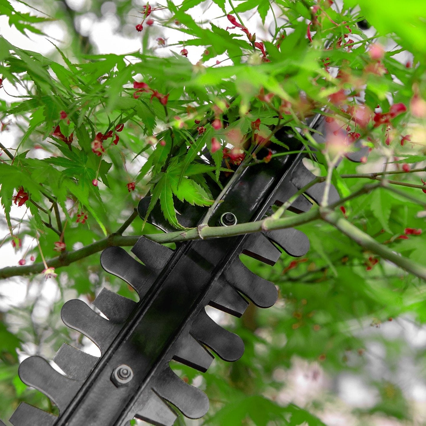 Premium Pole Hedge Trimmer Bush Cutter - Westfield Retailers