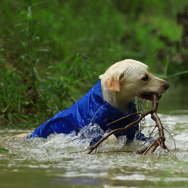 Premium Dog Raincoat Jacket - Westfield Retailers