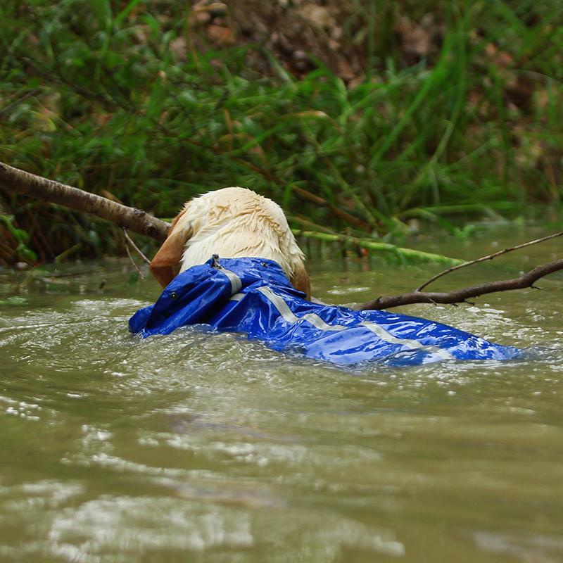 Premium Dog Raincoat Jacket - Westfield Retailers