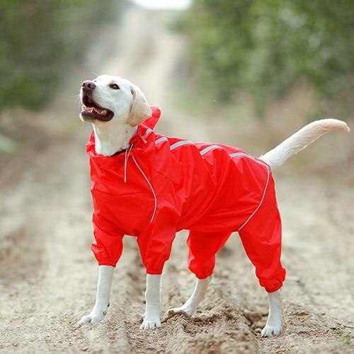 Premium Dog Raincoat Jacket - Westfield Retailers