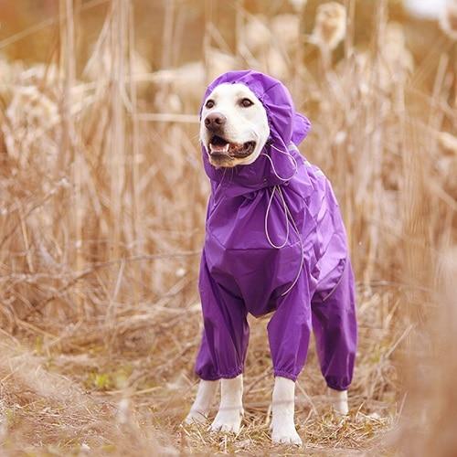 Premium Dog Raincoat Jacket - Westfield Retailers