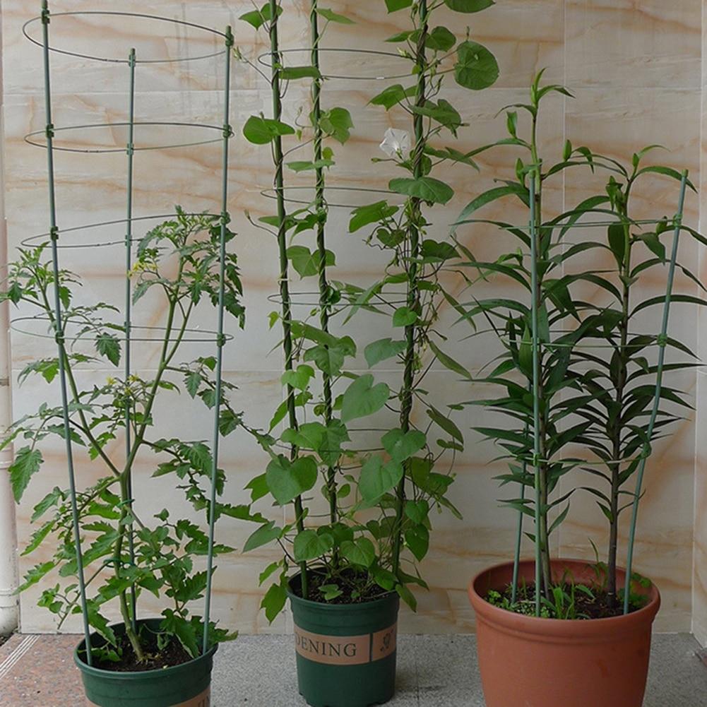 Heavy Duty Tomato Plant Support Trellis Cage - Westfield Retailers