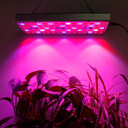 Plant LED Grow Lights Full Spectrum Indoor - Westfield Retailers