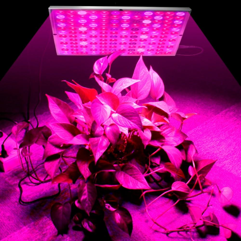 Plant LED Grow Lights Full Spectrum Indoor - Westfield Retailers