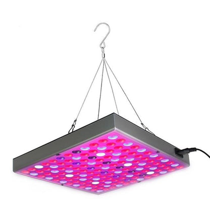 Plant LED Grow Lights Full Spectrum Indoor - Westfield Retailers