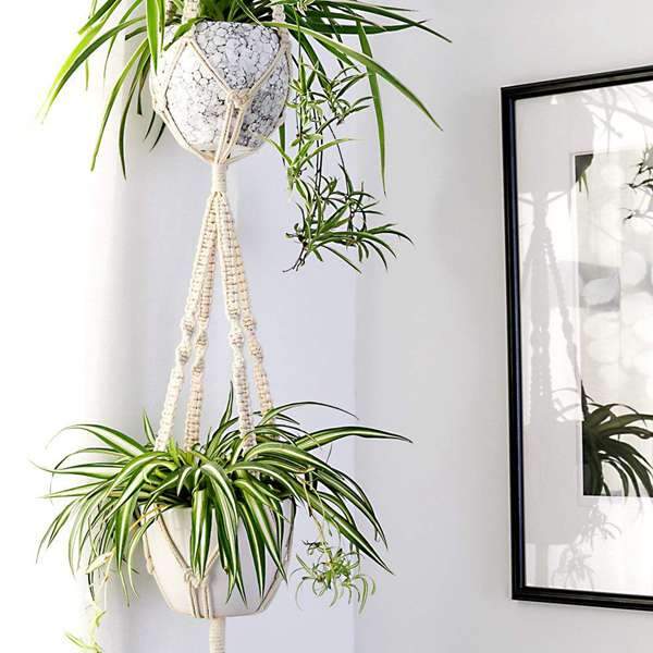 Premium Macrame Ceiling Hanging Planter Holder 4 Pack - Westfield Retailers