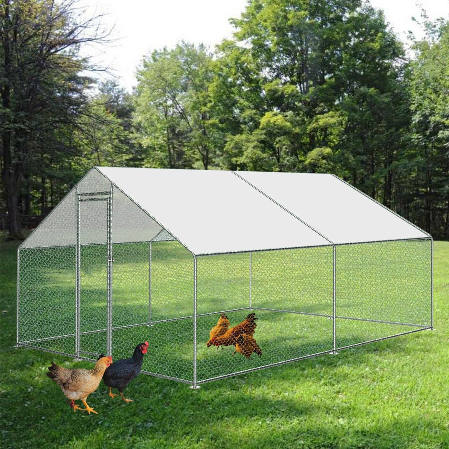 Large Spacious Walk In Backyard Chicken Coop 10' x 10' - Westfield Retailers