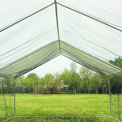 Large Spacious Walk In Backyard Chicken Coop 10' x 10' - Westfield Retailers