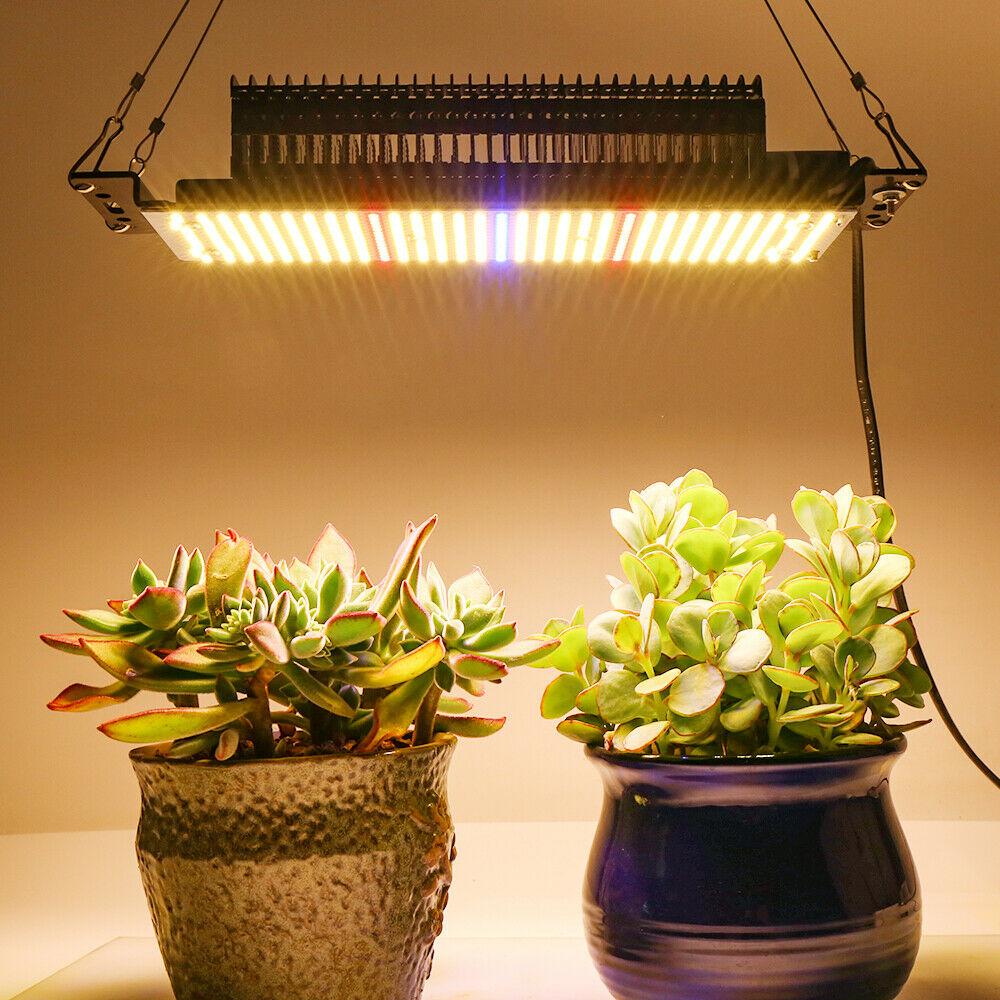 Full Spectrum Indoor Greenhouse LED Grow Lights 300W - Westfield Retailers