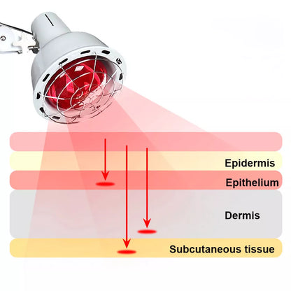 Powerful Freestanding Infrared Heat Therapy Lamp