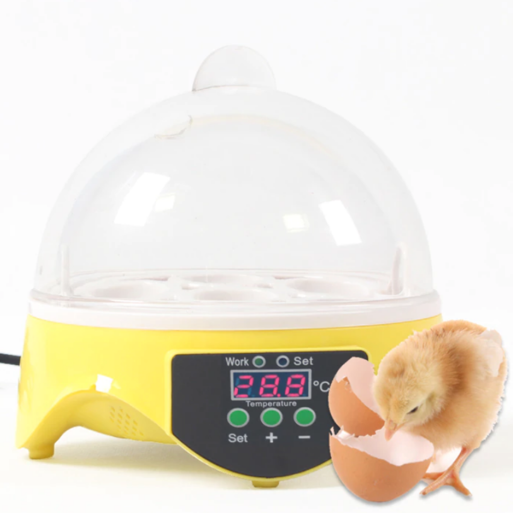 7 Automatic Chicken Egg Incubator And Hatcher - Westfield Retailers