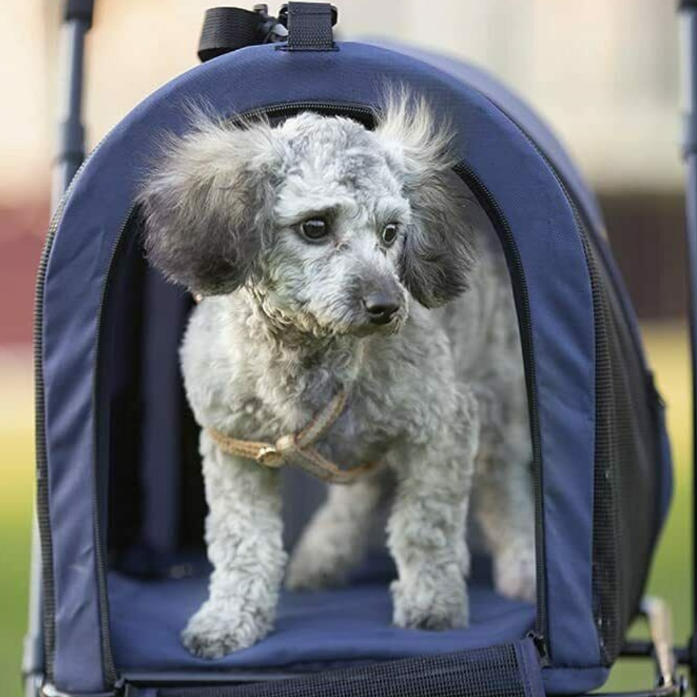 Heavy Duty Double Small Dog Jogging Stroller Carriage - Westfield Retailers