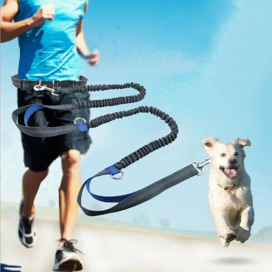 Retractable Hands-Free Dog Leash for Running - Westfield Retailers