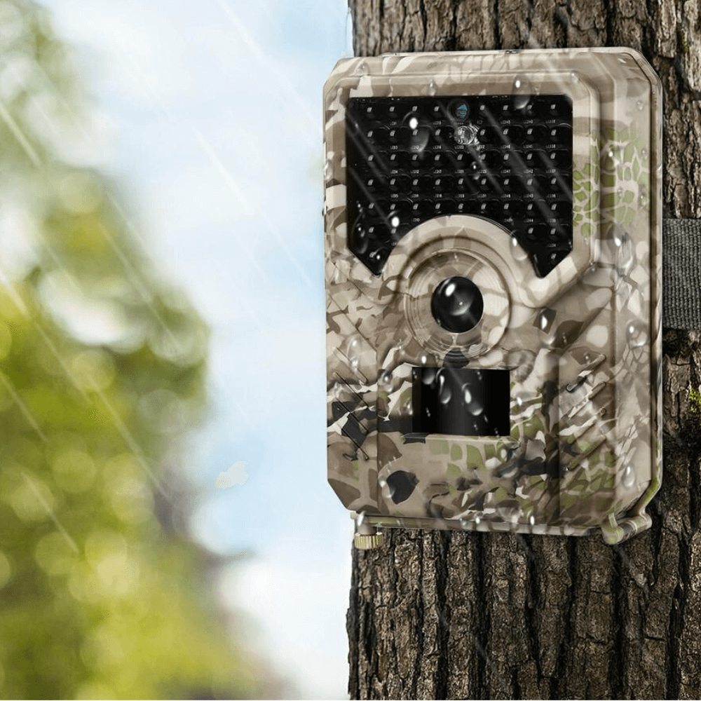 Surveillance Trail Game Camera - Westfield Retailers