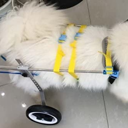 Dog Mobility Back Legs Wheelchair - Westfield Retailers