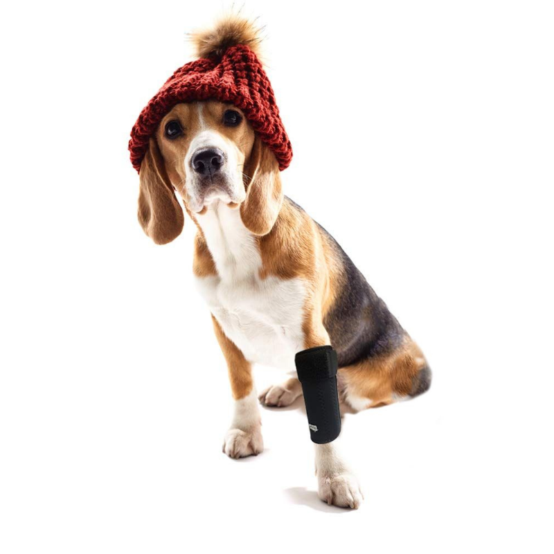 Stabilizing Dog Front Legs Knee Brace Set - Westfield Retailers