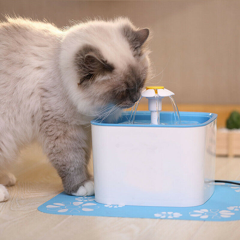 Premium Electric Cat Drinking Water Dispenser Fountain - Westfield Retailers
