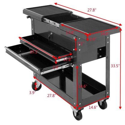 Portable Rolling Tool Cart 2-Drawer Tool Box Storage Cabinet with Wheels for Garage Warehouse