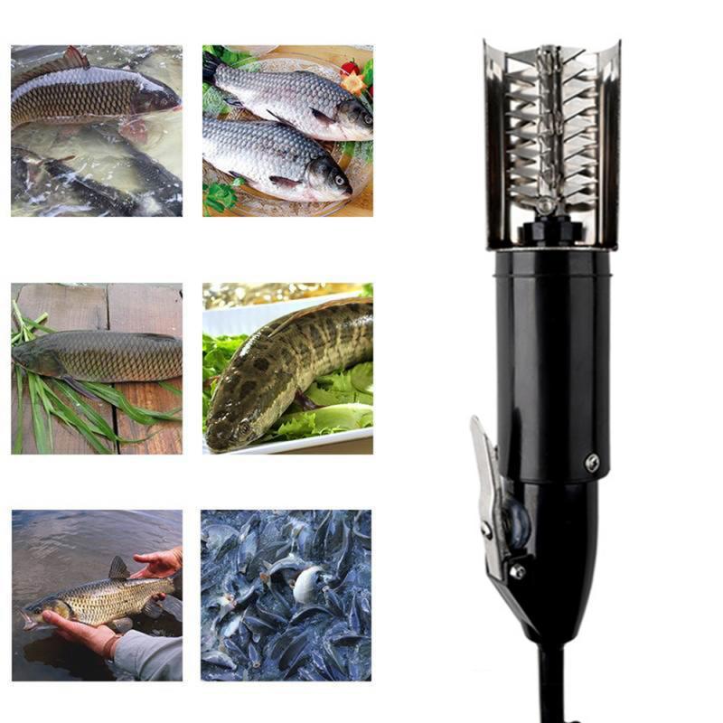 Waterproof Electric Fish Scale Scraper / Remover Tool - Westfield Retailers