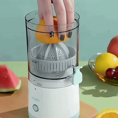 Automatic Electric Fruit Juicer