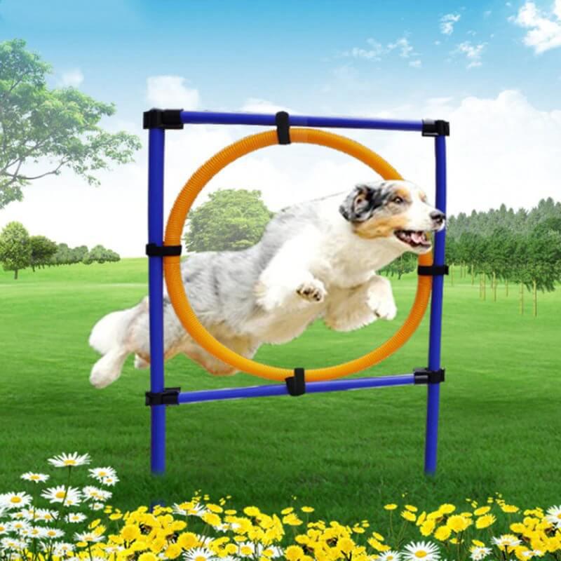Outdoor Dog Hoop Jumping Training Equipment - Westfield Retailers