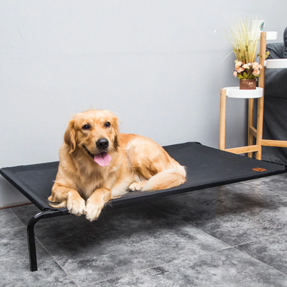 Soft Elevated Dog Cot Bed - Westfield Retailers