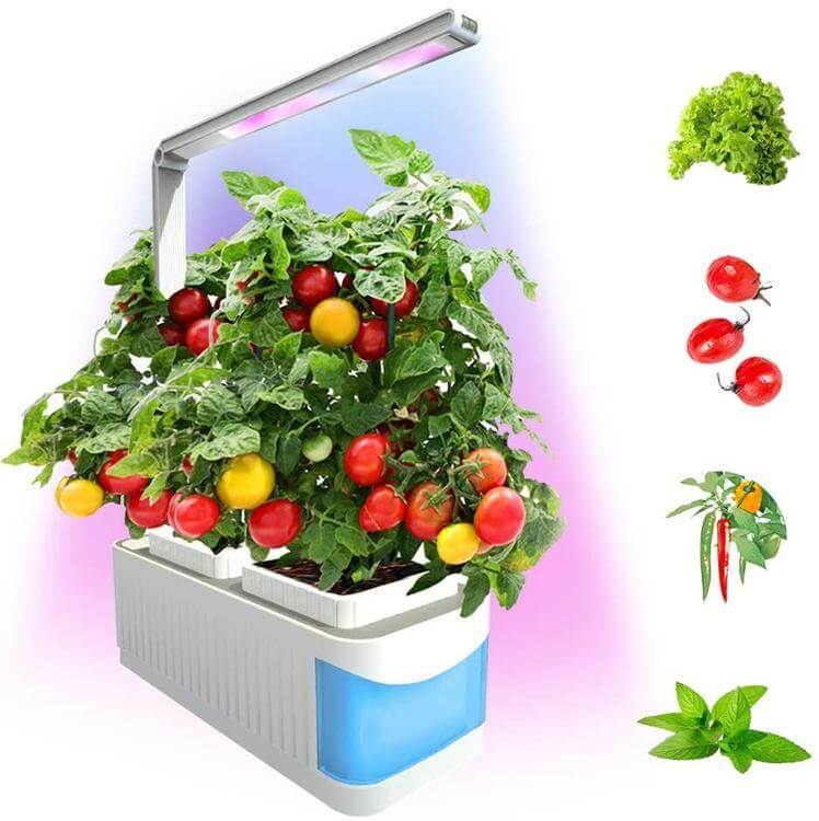 Smart Hydroponic Indoor Herb Garden - Westfield Retailers