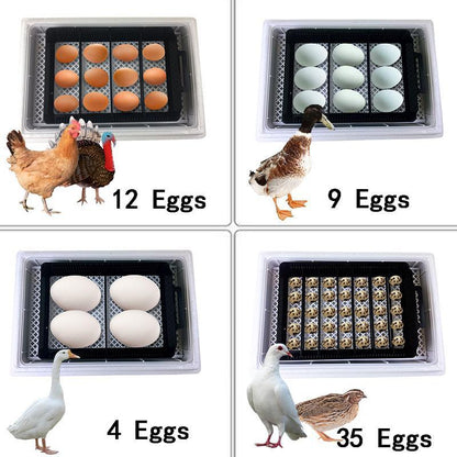 35 Premium Automatic Chicken Egg Incubator - Westfield Retailers
