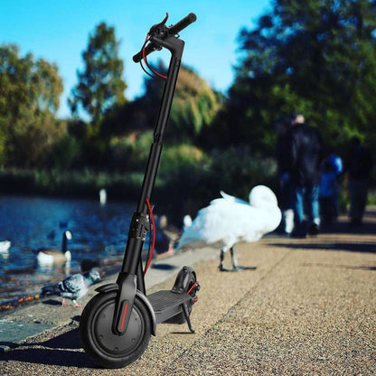Portable Adult Fast Electric Motorized Stand Up Scooter - Westfield Retailers