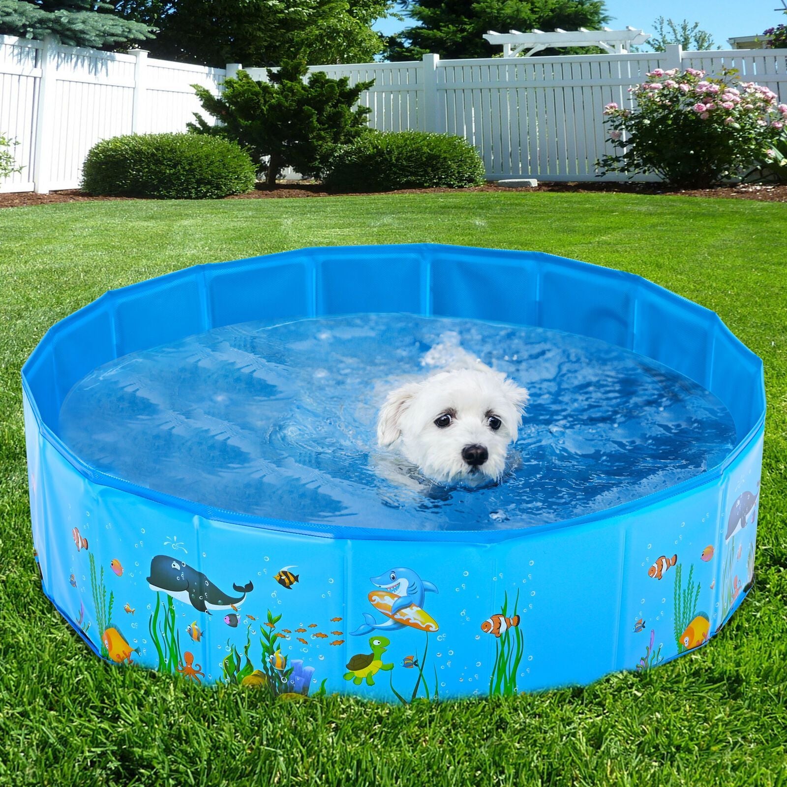 Large Portable Puncture Proof Plastic Dog Swimming Pool - Westfield Retailers