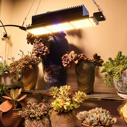 Full Spectrum Indoor Greenhouse LED Grow Lights 300W - Westfield Retailers