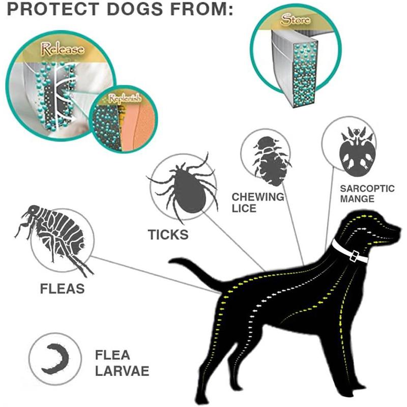 Pet Dog Collar Anti Flea Ticks Mosquitoes - Westfield Retailers